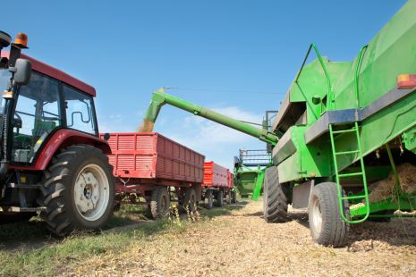 Com ganhos de produtividade, agropecuária brasileira mostrou forte crescimento nas últimas quatro décadas
