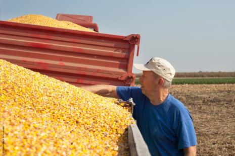 Agricultura impulsionou resultados da economia em 2017
