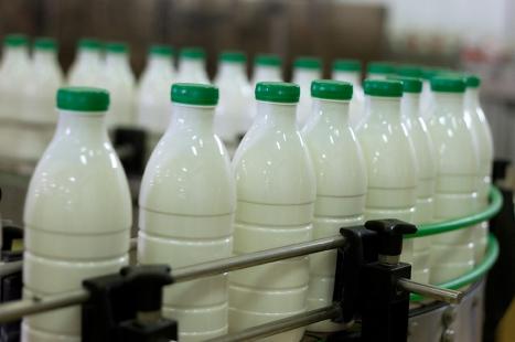 Alta no preço dos lácteos puxou alta nos preços no índice da FAO