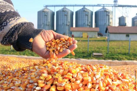 Recuperação nos preços dos grãos mantém otimismo no agronegócio