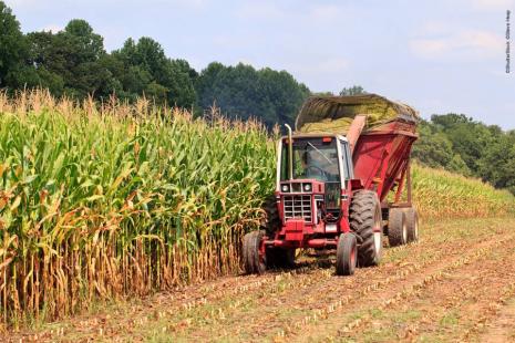Desempenho do ramo agrícola deve contribuir para crescimento do agronegócio
