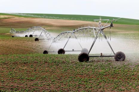Brasil conta com quase seis milhões de hectares com condições naturais para produção