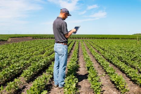 Representante da FAO pede mais igualdade na evolução tecnológica do campo