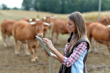 Agropecuária se prepara para entrar em nova fase de uma tendência tecnológica