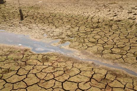 Seca causou prejuízo de US$ 13 bilhões para a agropecuária entre 2005 e 2015