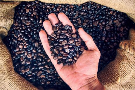 Setor cafeeiro terá redução de juros no Plano Safra 2018/19