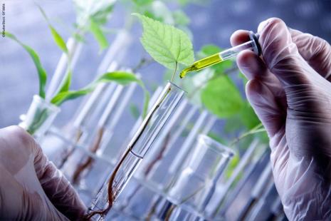 Pesquisa agrícola encontra dificuldade para obter orçamentos
