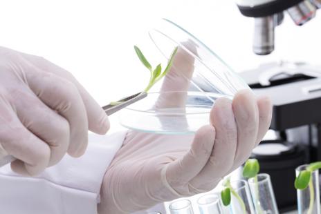 Biotecnologia no agro apresenta grande potencial para o futuro