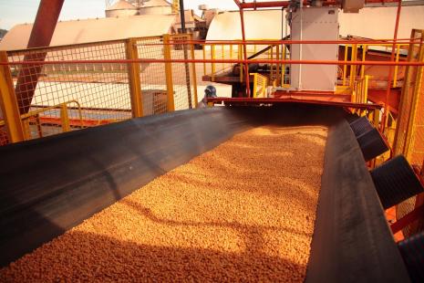 Soja foi o principal produto exportado por Paranaguá em setembro (Foto: Appa)