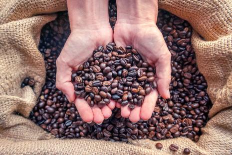 Alta na produção de café foi um dos fatores que impulsionou PIB agropecuário