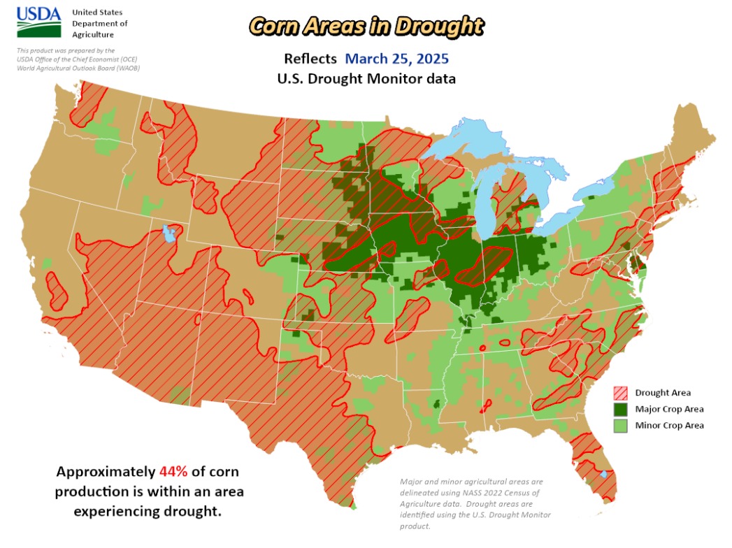 Drought Monitor: US soybean and corn acreage shrinks in drought-hit ...