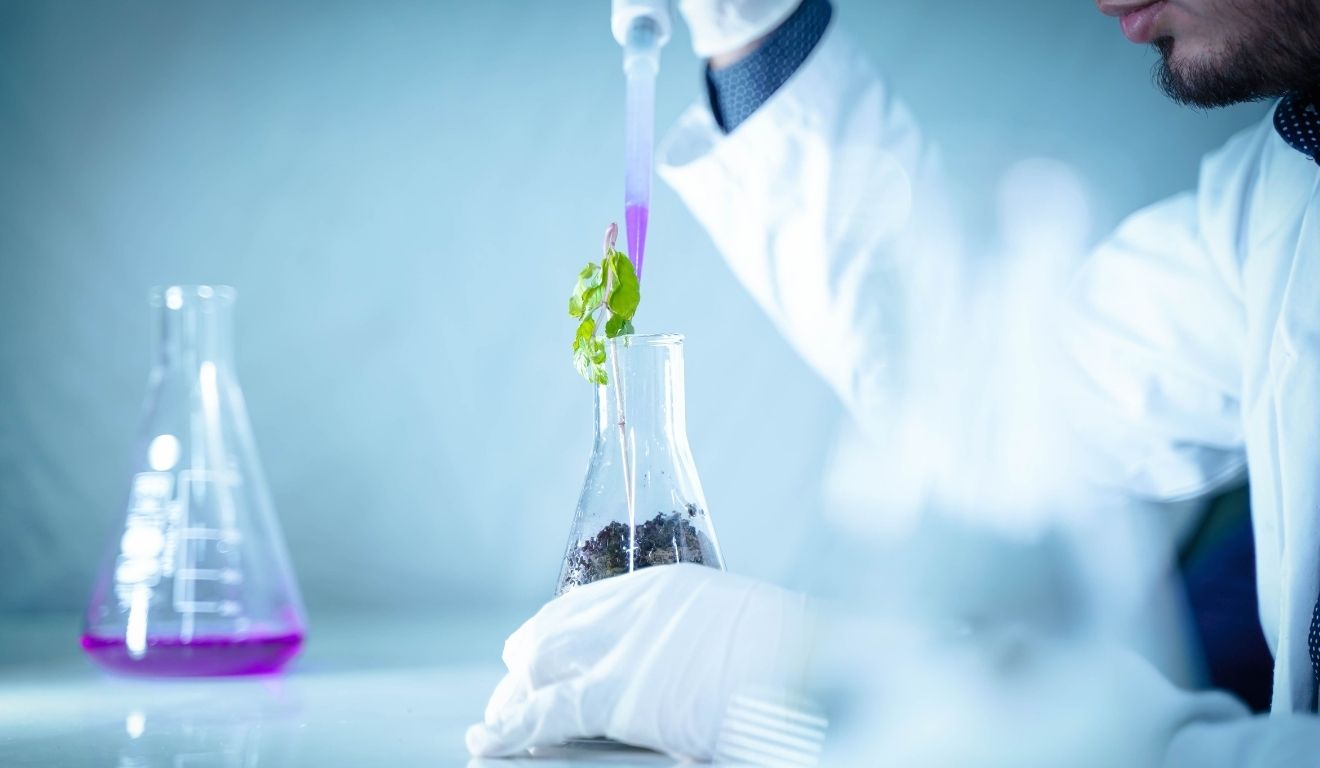 A empresa especializada em desenvolvimento genético agrícola, GDM, anunciou que irá expandir seu centro de pesquisas localizado em Petrolina, em Pernambuco